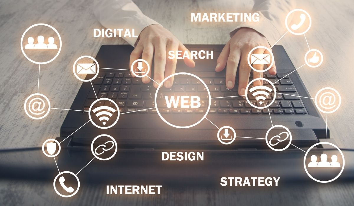 Palu Web Tasarım